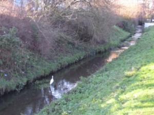 Shuttle at Hollyoak Park