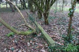 North wall of Danson Pool, 2014