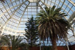 Avery Hill Winter Gardens in February 2014